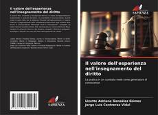 Copertina di Il valore dell'esperienza nell'insegnamento del diritto