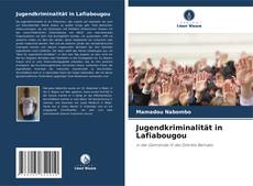 Capa do livro de Jugendkriminalität in Lafiabougou 