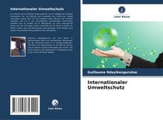 Internationaler Umweltschutz kitap kapağı