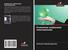 Copertina di Protezione ambientale internazionale