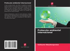 Protecção ambiental internacional的封面