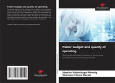 Capa do livro de Public budget and quality of spending 