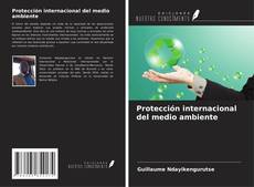 Bookcover of Protección internacional del medio ambiente