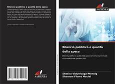 Bilancio pubblico e qualità della spesa的封面
