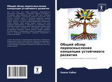 Buchcover von Общий обзор переосмысления концепции устойчивого развития