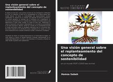 Bookcover of Una visión general sobre el replanteamiento del concepto de sostenibilidad