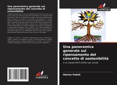 Buchcover von Una panoramica generale sul ripensamento del concetto di sostenibilità