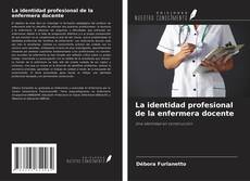 Copertina di La identidad profesional de la enfermera docente