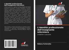 Portada del libro de L'identità professionale dell'insegnante infermiere