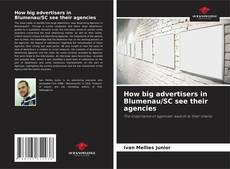 Buchcover von How big advertisers in Blumenau/SC see their agencies