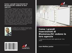 Portada del libro de Come i grandi inserzionisti di Blumenau/SC vedono le loro agenzie