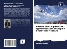 Buchcover von Низкие цены и развитие туристического сектора в Восточном Марокко