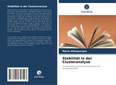 Обложка Stabilität in der Clusteranalyse