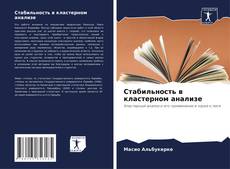 Buchcover von Стабильность в кластерном анализе