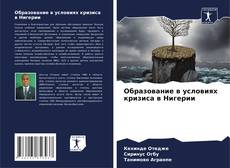 Buchcover von Образование в условиях кризиса в Нигерии