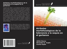 Capa do livro de Atributos morfofisiológicos de la tolerancia a la sequía en el garbanzo 