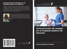 Comunicación de riesgos en el hospital público de Kenema kitap kapağı
