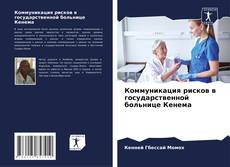 Buchcover von Коммуникация рисков в государственной больнице Кенема