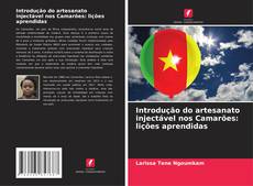 Portada del libro de Introdução do artesanato injectável nos Camarões: lições aprendidas