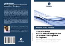 Bookcover of Gemeinsames Ressourcenmanagement in einem afro-alpinen Ökosystem