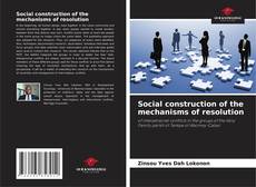 Capa do livro de Social construction of the mechanisms of resolution 