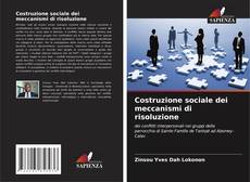 Buchcover von Costruzione sociale dei meccanismi di risoluzione