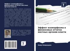 Эффект изоморфизма в финансовых отчетах местных органов власти kitap kapağı