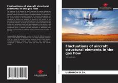 Capa do livro de Fluctuations of aircraft structural elements in the gas flow 
