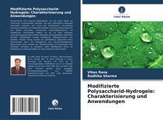 Buchcover von Modifizierte Polysaccharid-Hydrogele: Charakterisierung und Anwendungen