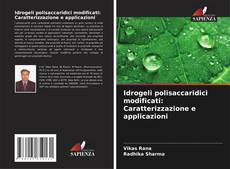 Capa do livro de Idrogeli polisaccaridici modificati: Caratterizzazione e applicazioni 
