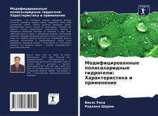 Borítókép a  Модифицированные полисахаридные гидрогели: Характеристика и применение - hoz