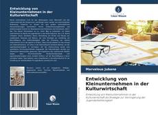 Copertina di Entwicklung von Kleinunternehmen in der Kulturwirtschaft