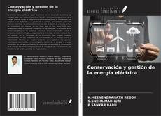 Conservación y gestión de la energía eléctrica kitap kapağı