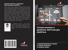 Copertina di Conservazione e gestione dell'energia elettrica