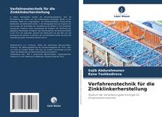 Verfahrenstechnik für die Zinkklinkerherstellung kitap kapağı