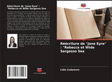 Réécriture de "Jane Eyre" : "Rebecca et Wide Sargasso Sea的封面