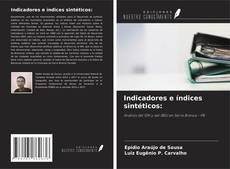 Portada del libro de Indicadores e índices sintéticos: