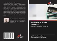 Buchcover von Indicatori e indici sintetici: