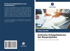 Bookcover of Kritische Erfolgsfaktoren bei Bauprojekten