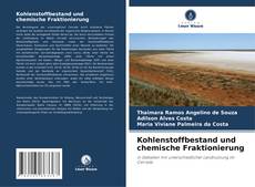 Buchcover von Kohlenstoffbestand und chemische Fraktionierung