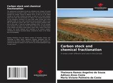 Couverture de Carbon stock and chemical fractionation