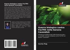 Copertina di Guerra biologica contro FocTR4 nella banana Cavendish