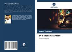 Die Identitätskrise kitap kapağı