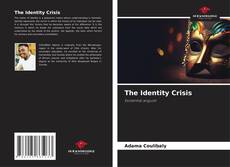 Capa do livro de The Identity Crisis 