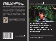 Borítókép a  DERECHOS DE LOS PUEBLOS INDÍGENAS Y PRESERVACIÓN DEL MEDIO AMBIENTE EN LA AMAZONIA - hoz