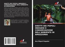 Capa do livro de DIRITTI DEI POPOLI INDIGENI E CONSERVAZIONE DELL'AMBIENTE IN AMAZZONIA 