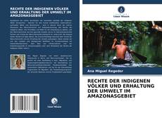 RECHTE DER INDIGENEN VÖLKER UND ERHALTUNG DER UMWELT IM AMAZONASGEBIET kitap kapağı