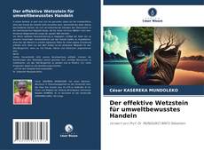 Der effektive Wetzstein für umweltbewusstes Handeln kitap kapağı