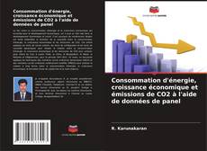 Consommation d'énergie, croissance économique et émissions de CO2 à l'aide de données de panel的封面