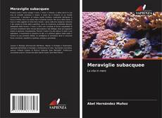 Buchcover von Meraviglie subacquee